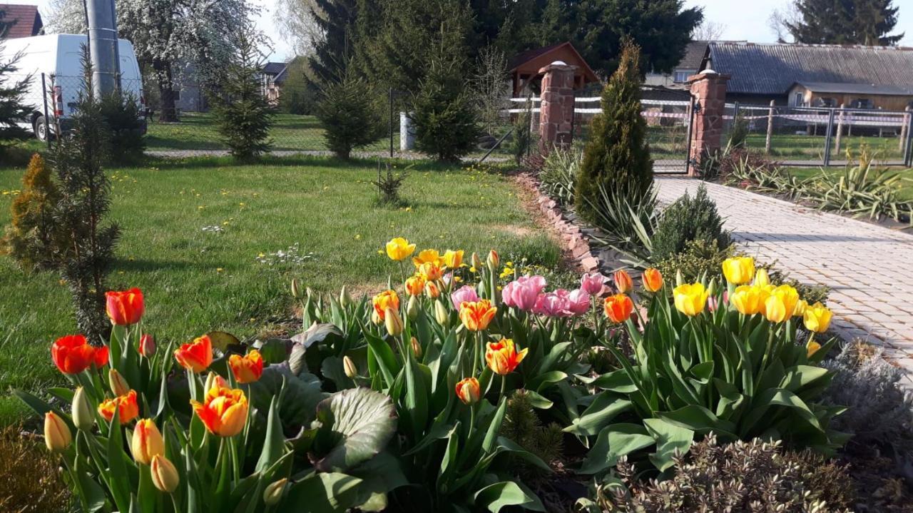Agroturystyka "U Kasi" Scinawka Gorna Экстерьер фото