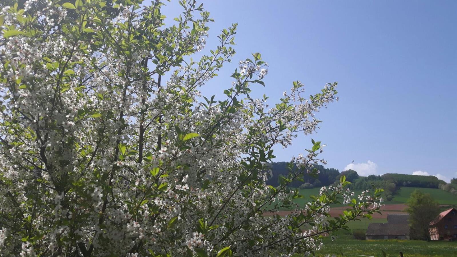 Agroturystyka "U Kasi" Scinawka Gorna Экстерьер фото
