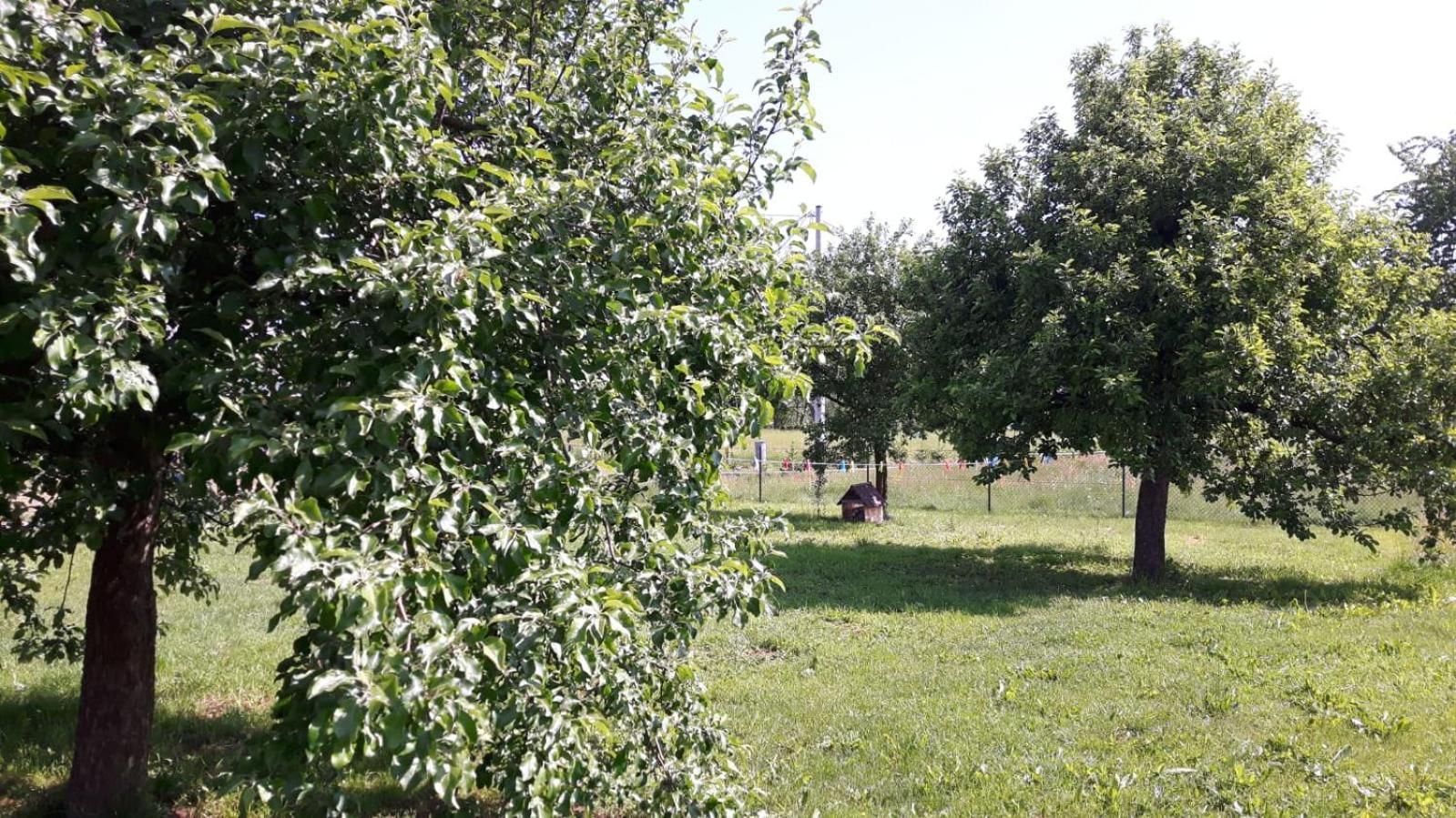 Agroturystyka "U Kasi" Scinawka Gorna Экстерьер фото