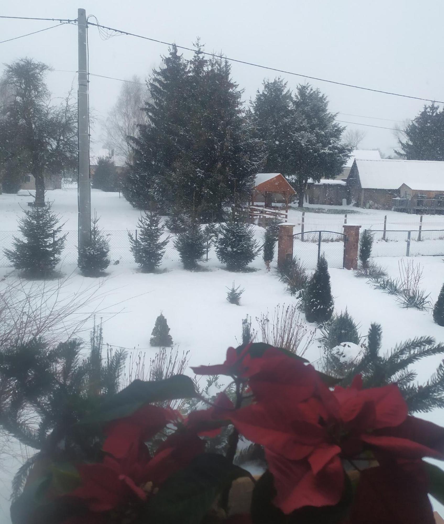 Agroturystyka "U Kasi" Scinawka Gorna Экстерьер фото